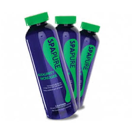 Whole-In-One 16 oz Chemical Alkalinity Increaser WH974261